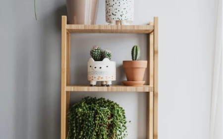 shady plants wooden shelf filled with plants