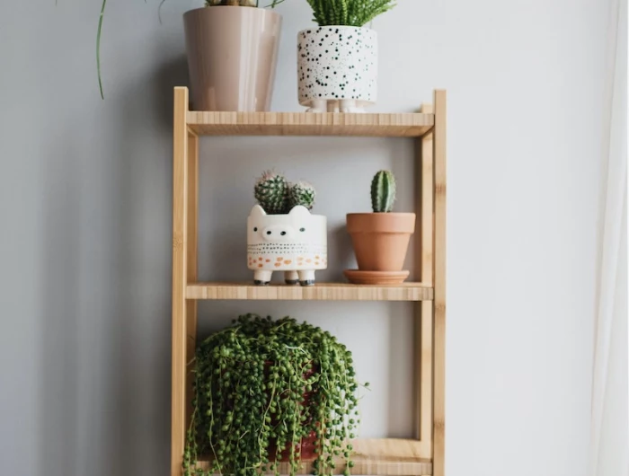 shady plants wooden shelf filled with plants