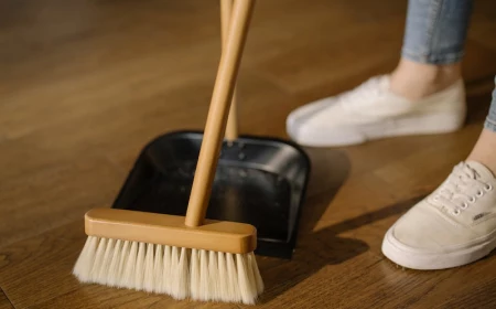 shoes with sweep and dust bin on floor