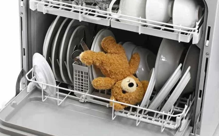 teddy bear lying in the dishwasher