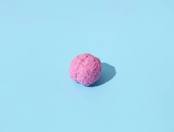 brain on a blue background
