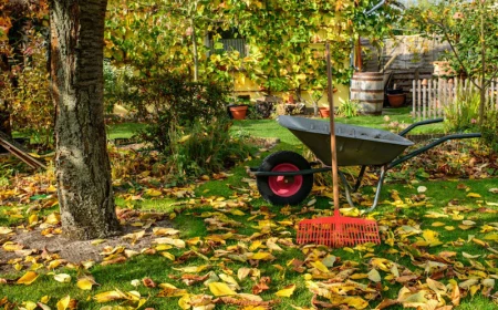 fall garden guide garden rake and cart