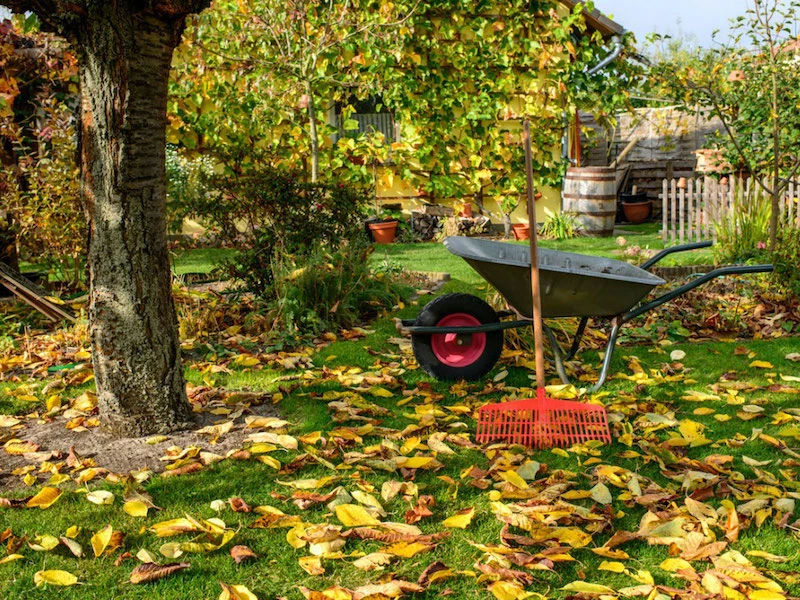 fall garden guide garden rake and cart