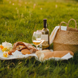 Picnic-Ready Recipes: How to Customize Your Gathering with Homemade Dishes
