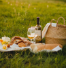 how to plan a picnic