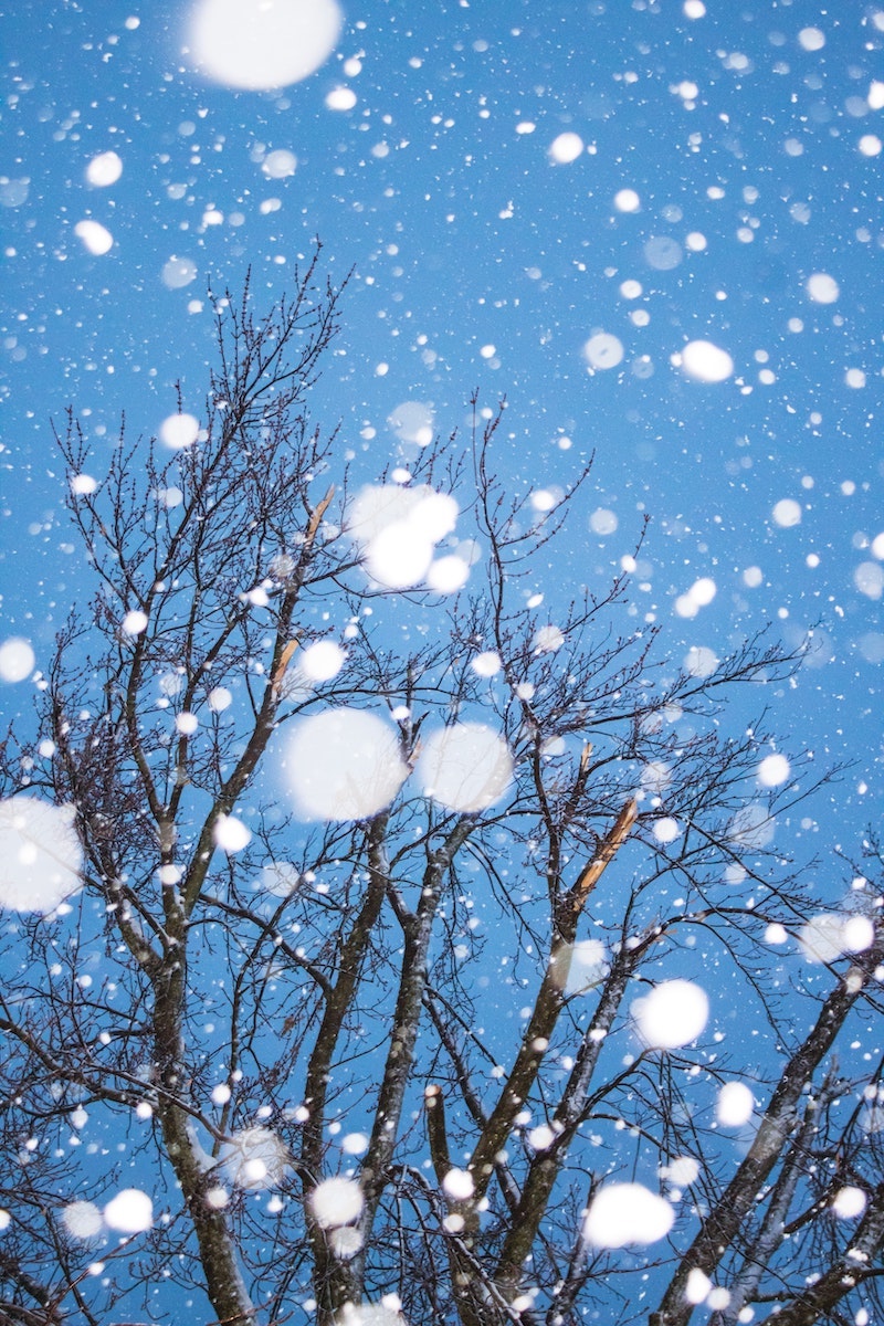 how to prepare your garden snow falling down