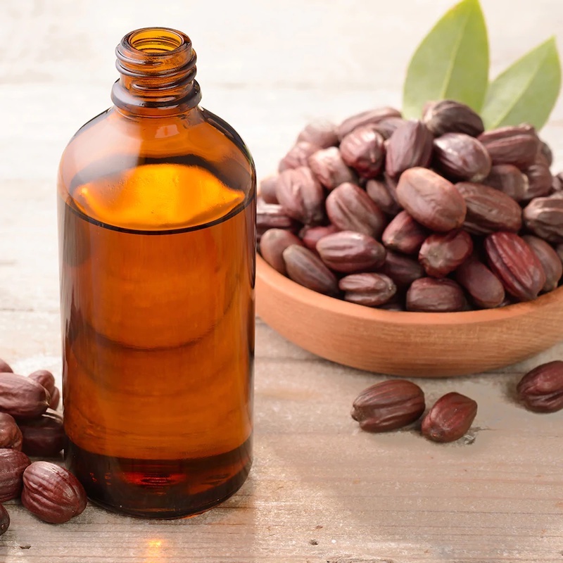 jojoba oil and jojoba nuts