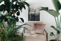 5+ Common Mistakes That Are Killing Your Houseplants