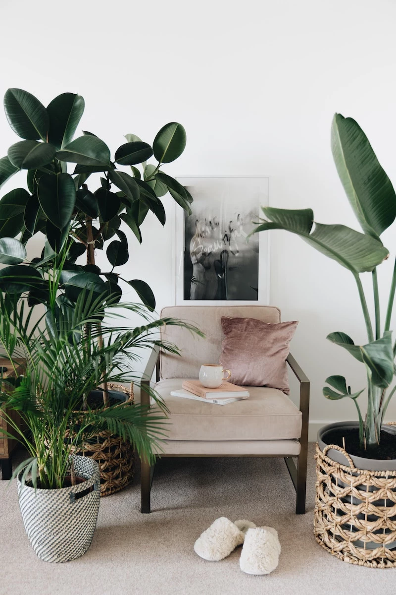 killing your houseplants chair with cup and books sorrounded by plants