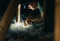 What To Look for When Distinguishing Between Cellulose & Asbestos Insulation?