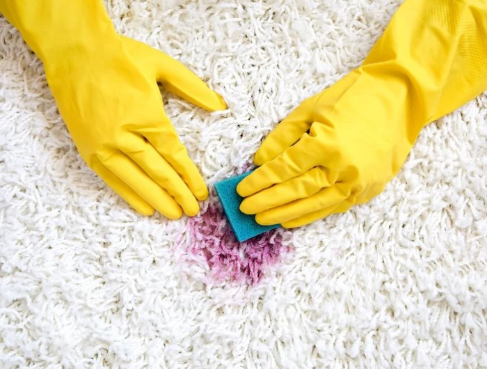 person cleaning red stain on white carpet