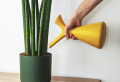 5 Plants That Don’t Need Much Water (Tolerant and Tough)