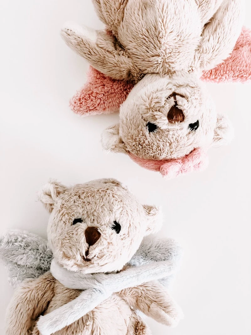 two stuffed teddy bears