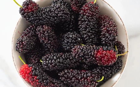 what are mulberries good for health wise