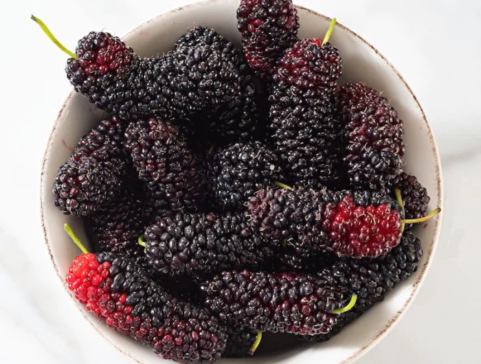 what are mulberries good for health wise