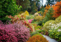 What To Plant In The Fall: 5+ Best Flowers For A Beautiful Garden