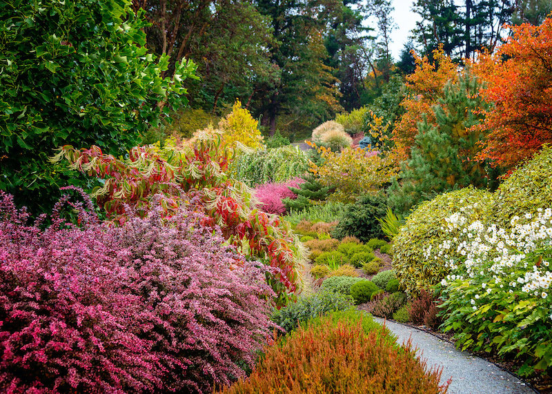 what to plant in the fall fall garden with different colors