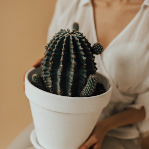 woman holding a big cacti in a white pot