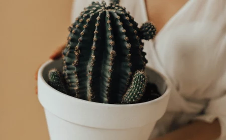 woman holding a big cacti in a white pot