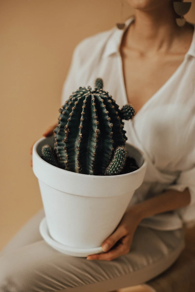 woman holding a big cacti in a white pot