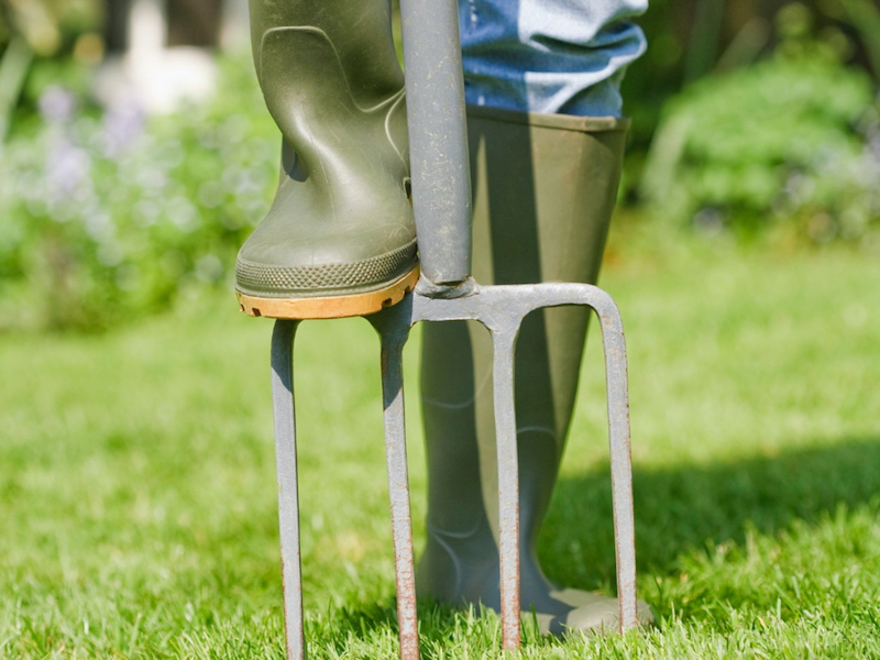 aerating lawn rubber boot stepping on fork