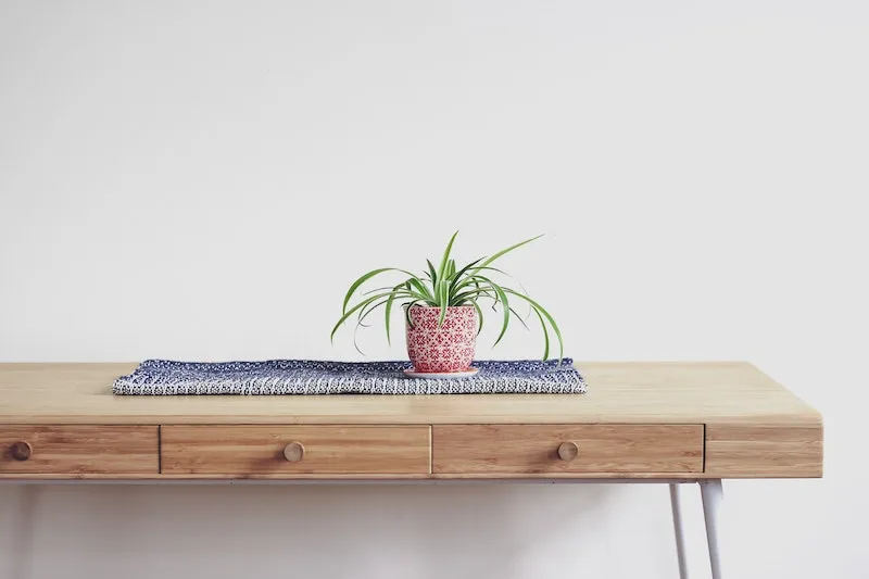 air purifying plants spider plant on a wooden table