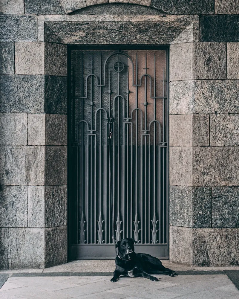 black dog protecting a big black door