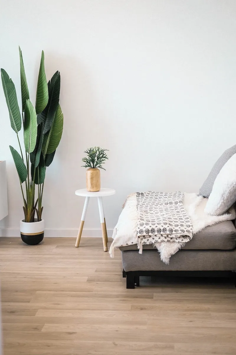blank white wall with sofa and plant