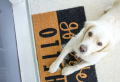Cleaning Experts: 5+ Effective Ways On How To Prevent Dust At Home