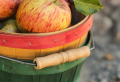 How to Make Homemade Apple Cider Vinegar from Old Apples