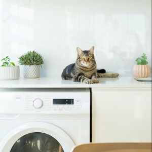 How to Choose The Best Washing Machine: Expert Tips