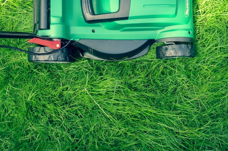 how to prepare your lawn for winter lawnmower cutting down the grass