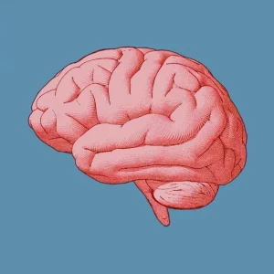 How To Keep Your Mind Sharp: 6 Effective Brain Exercises