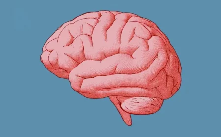 pink brain with blue background