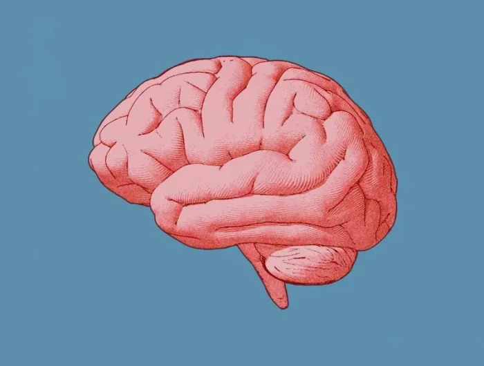 pink brain with blue background