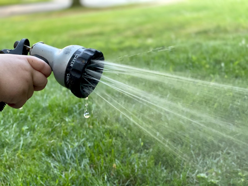 powerful hose watering green lawn