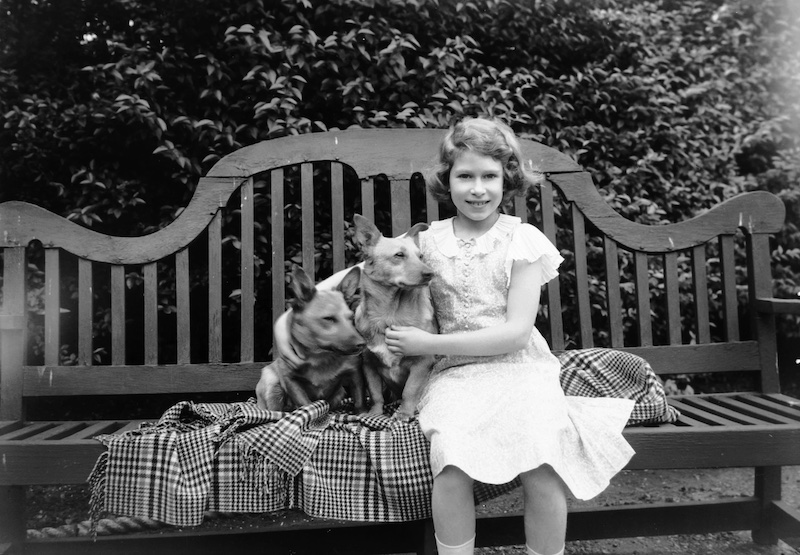 queen elizabeth ii as a child with two dogs