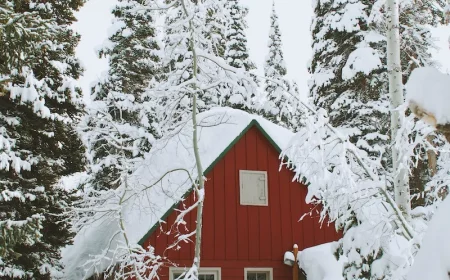 red house under a lot of snow