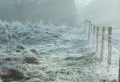 How To Prepare Your Lawn For Winter: 4 Simple Tips