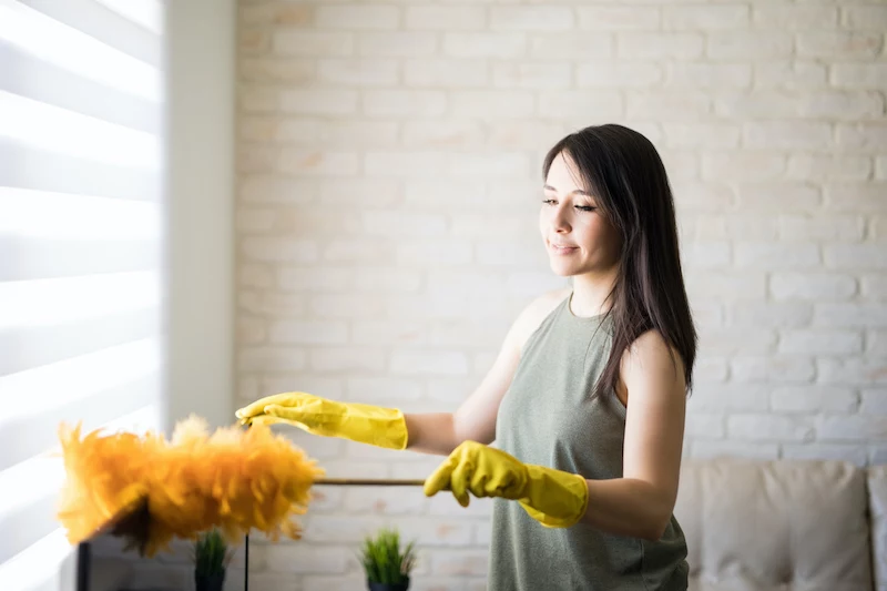 beautiful housewife rubbing feather duster on television