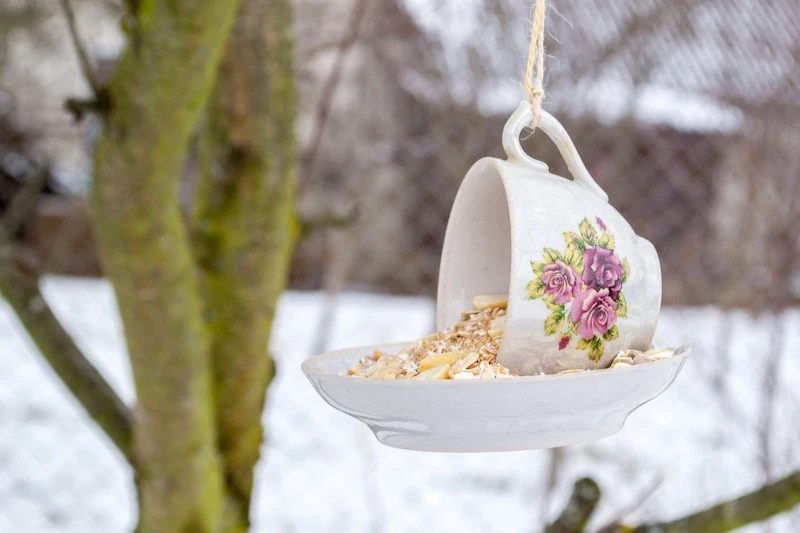 bird feeder from a cup with eggshells