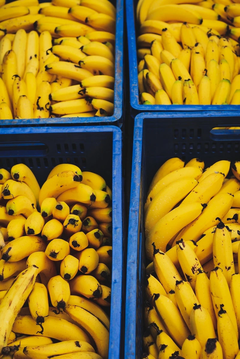 bananas in bucnhes in blue containers