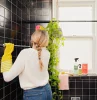 bathroom cleaning mistakes to avoid