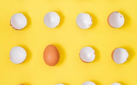 egg shells on a yellow background