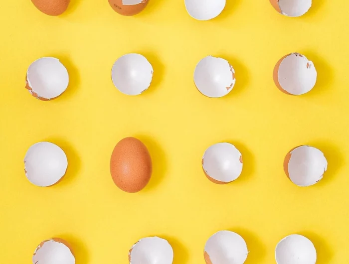 egg shells on a yellow background