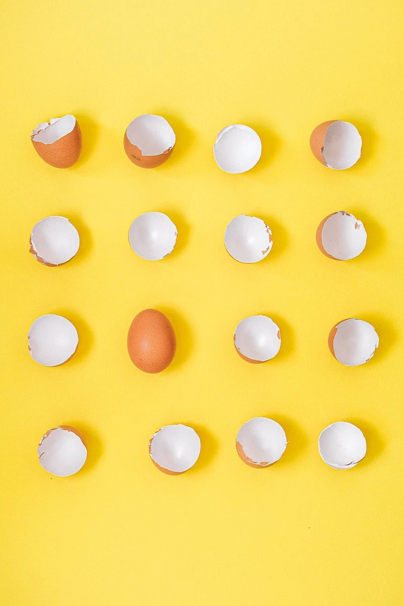 egg shells on a yellow background