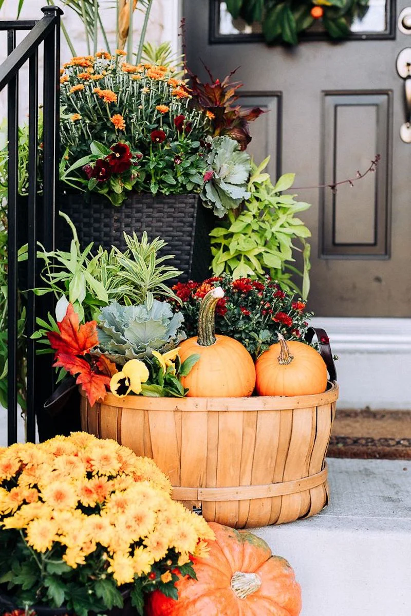 fall porch decor mums and pumpkins