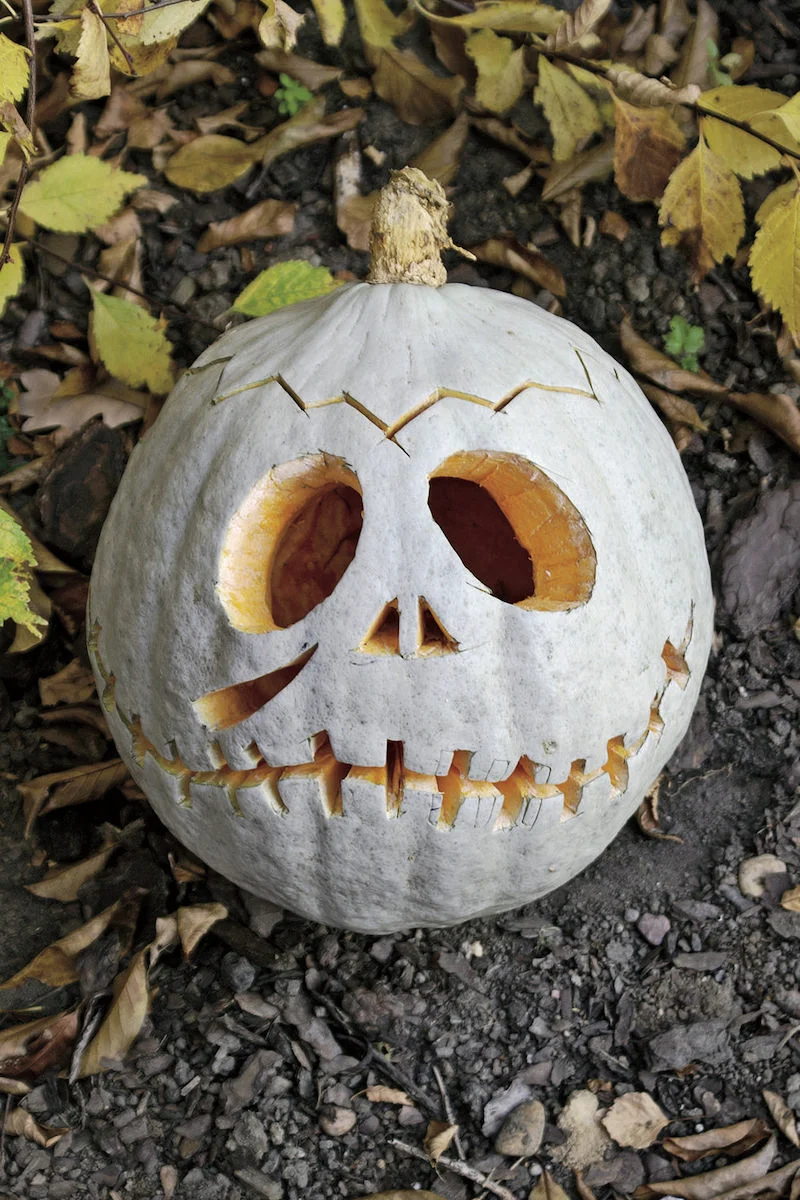 green skeleton pumpkin carving