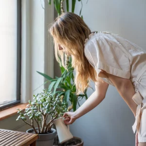 How to Take Care of Your Plants While You are Away