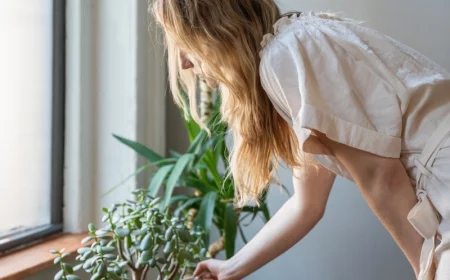 how to take care of houseplants while on vacation